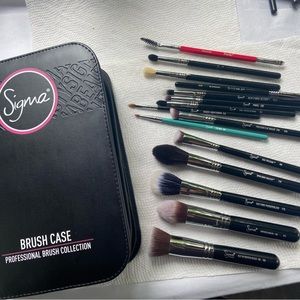 Sigma Brush Set and Case